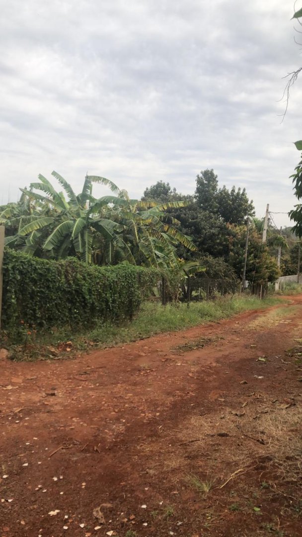 CHACARÁ PRÓXIMO AO AEROPORTO DE LONDRINA - Foto 8